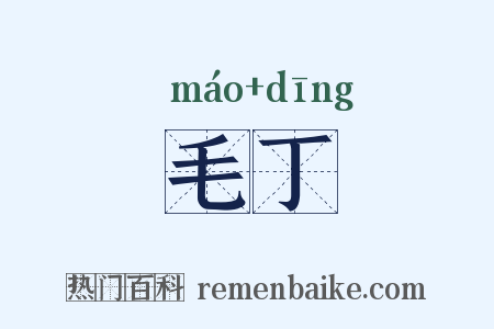 毛丁是什么意思的图片